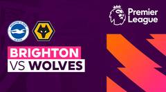 Brighton vs Wolves - Full Match | Premier League 23/24