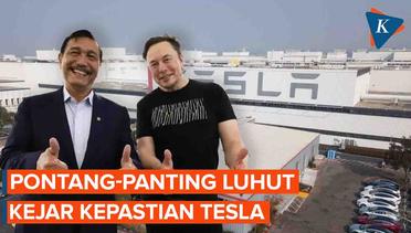 Luhut Rela Mondar-Mandir Demi Investasi dari Tesla yang Tak Kunjung Past