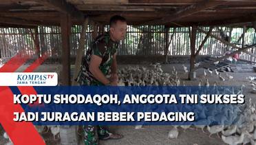 Koptu Shodaqoh, Anggota TNI Sukses Jadi Juragan Bebek Pedaging