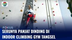 Serunya Panjat Dinding di Indoor Climbing Gym, Ada Wahana Ekstrem Memacu Adrenalin | Fokus