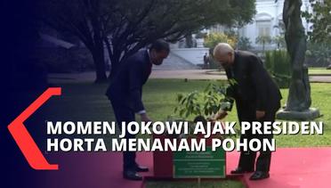 Penanaman Pohon Gaharu di Istana Bogor Jadi Tanda Pertemuan Jokowi dengan Presiden Jose Ramos Horta