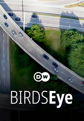 DW - Birds Eye