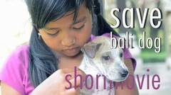 Save Bali Dog