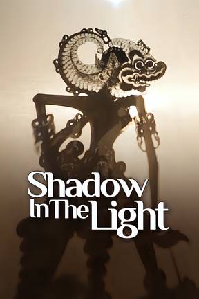 Shadow In The Light