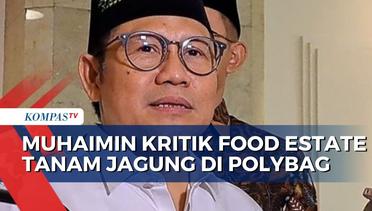 Muhaimin Kritik Food Estate: Tanam Jagung di Polybag Bisa di Jakarta