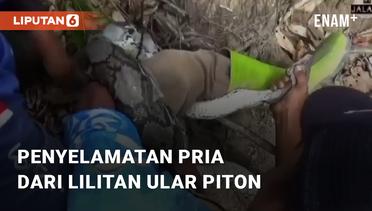 Viral Penyelamatan Pria Dari Lilitan Ular Piton di Kalimantan Selatan!