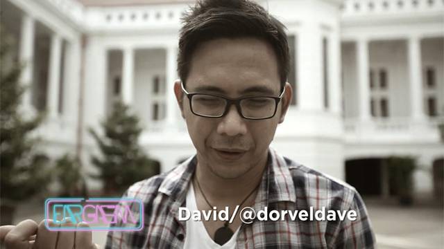 David - Lupa