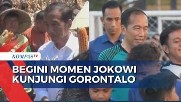 Presiden Jokowi  ke Gorntalo, Ikut Panen Raya Jagung hingga Main Sepak Bola Bareng Anak-Anak