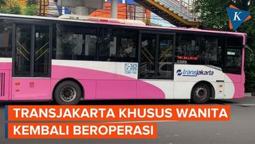 Bus Pink Transjakarta Kembali Beroperasi