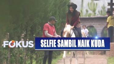 Selfie Yuk: De Ranch Bogor, Seru Buat Main dan Foto Bareng Kuda-kuda Lucu - Fokus