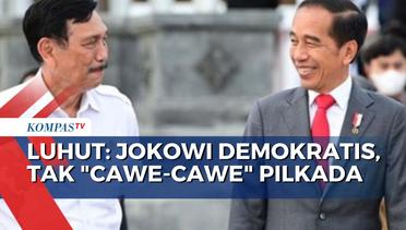 Pernyataan Luhut yang Sebut Jokowi Demokratis dan Tak Cawe-Cawe Pilkada Jakarta