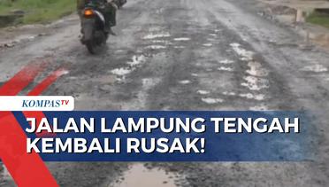 Baru Diperbaiki, Jalan Rumbia di Lampung Tengah Kembali Rusak!