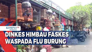 Dinkes Bali Imbau Faskes Waspada Flu Burung