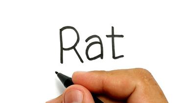 WOW KEREN, belajar cara menggambar kata RAT menjadi tikus dengan mudah