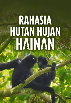 Rahasia Hutan Hujan Hainan