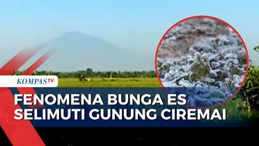 Viral Fenomena Bunga Es Selimuti Gunung Ciremai, Pendaki Diimbau Bawa Perlengkapan Ekstra!