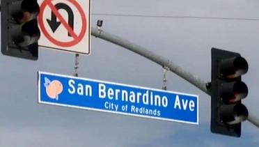 Mobil Rusak Tertimpa Pohon hingga Penembakan di San Bernardino