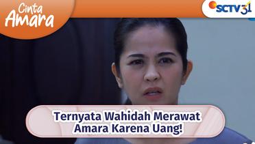 Ternyata Wahidah Merawat Amara Karena Uang! | Cinta Amara Episode 85