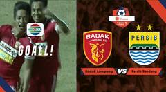 Goal Manis Hariyanto Panto Membuat Badak Lampung unggul 1-0 atas Persib | Shopee Liga 1