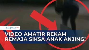 Viral Rekaman Amatir Remaja Siksa Anak Anjing di Natuna Riau!
