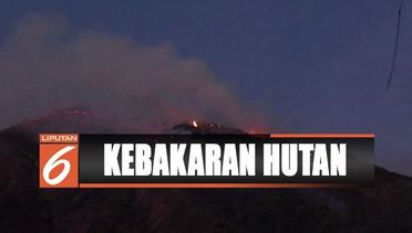 Kebakaran Lalap Puncak Gunung Merbabu - Liputan 6 Pagi 