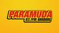 paramudaradio