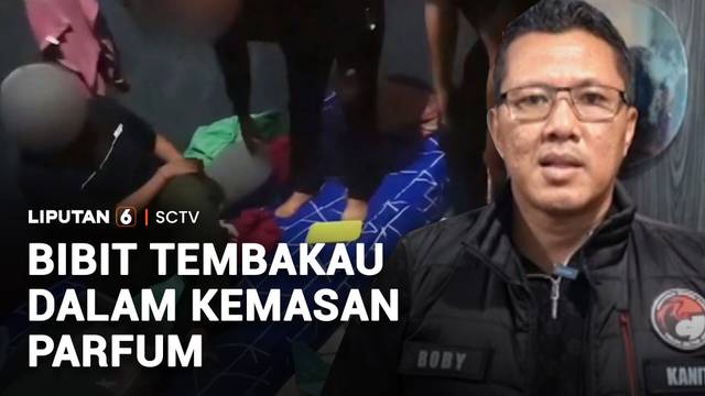 Modus Baru Edarkan Bibit Tembakau Sintetis dalam Botol Parfum | Liputan 6
