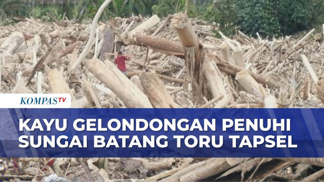 Jutaan kubik kayu gelondongan tutupi Sungai Batang Toru pascabencana, ini dampaknya kata warga
