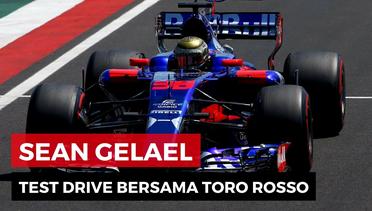 Test Drive F1, Sean Gelael Kian Nyaman di Toro Rosso