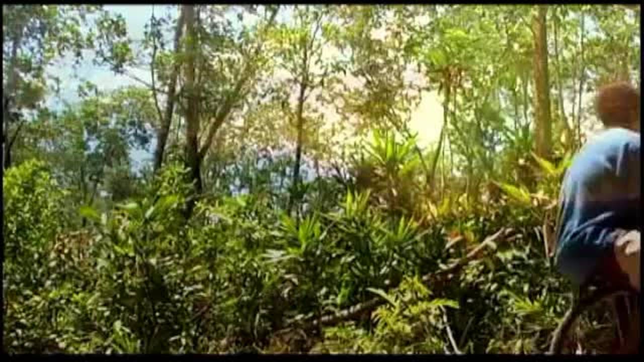 Film Papua : Melody Kota Rusa (2010) bagian 2 (1-7) Full Movie