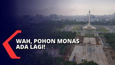 Revitalisasi Monas Dihentikan, Pemprov DKI Jakarta Tanam Pohon Lagi