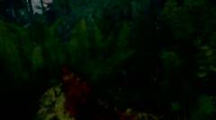 video Ikan Koki di Aquarium RS Sadewa 17 Maret 2017