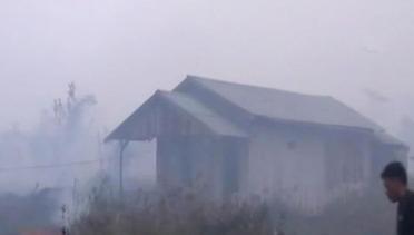 Api Kebakaran Lahan Gambut Turut Lahap Pemukiman Warga di Samarinda