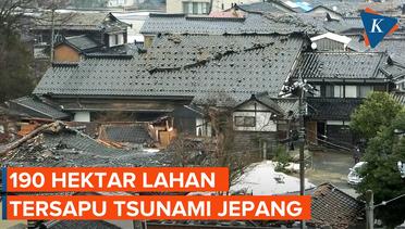 Tsunami Porak-porandakan Ratusan Hektar Lahan di Jepang
