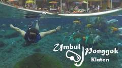 Wisata Snorkeling Air Tawar, Umbul Ponggok Klaten