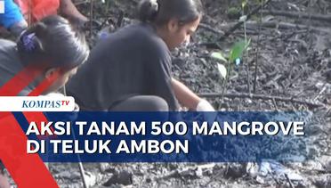 Kegiatan Penanaman Kembali 500 Anakan Mangrove di Teluk Ambon