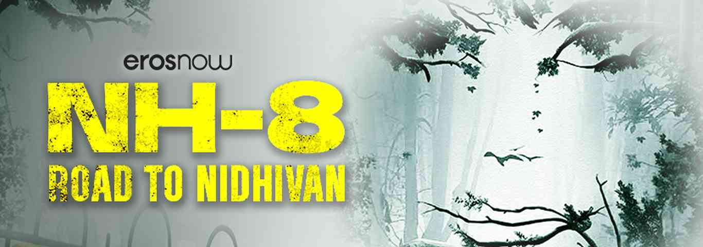 NH-8 Road to Nidhivan