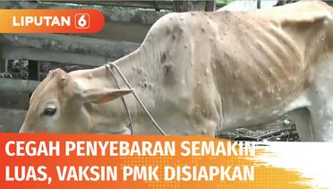 Gubernur Jawa Timur Bersama Kementerian Pertanian Siapkan Vaksin PMK | Liputan 6