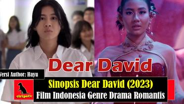 Sinopsis Dear David (2023), Film Indonesia 17+ Genre Drama Romantis, Versi Author Hayu