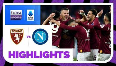 Torino vs Napoli - Highlights | Serie A 2023/24