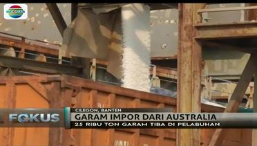 25 Ribu Ton Garam Impor dari Australia Tiba - Fokus Sore