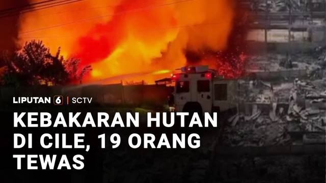Kebakaran Hutan di Cile, 19 Orang Tewas | Liputan 6