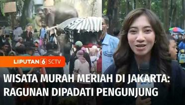 Wisata Murah Meriah di Jakarta: Taman Margasatwa Ragunan Ramai Sejak Pagi | Liputan 6