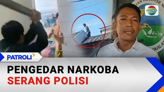 Pengedar Narkoba Serang Polisi | Patroli