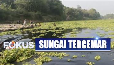 Sungai Bengawan Solo Tercemar dan Berubah Warna - Fokus