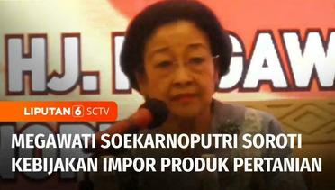 Ketum PDIP Megawati: Seharusnya Pemerintah Biarkan Petani Nikmati Hasil Produksinya | Liputan 6