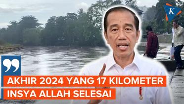 Jokowi Targetkan Normalisasi Ciliwung Tuntas pada 2024