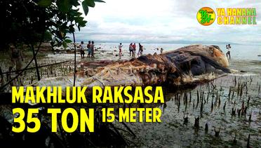 GEGER!! Makhluk Raksasa 35 Ton Ditemukan di Pantai Seram Maluku Tanda Kebesaran Allah SWT
