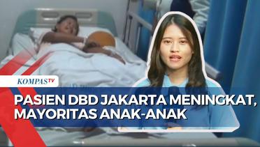 Kasus DBD di Jakarta Meningkat, Pasien Mayoritas Anak-Anak