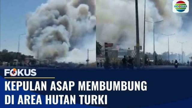Kebakaran Hutan di Barat Laut Turki Paksa Evakuasi Ratusan Warga Sehari Setelah Gempa | Fokus